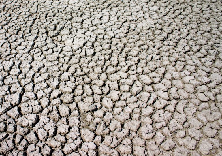 Dry land. Iraq's water crisis